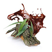Lavazza - Gustalo con